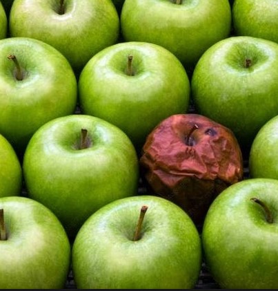 멀쩡한 사과 옆에 썩은 사과를 두면 나머지 사과도 금방 썩게 된다.