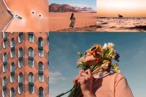 평온함과 향수를 불러일으키는 카밍 코랄 (사진출처: Shutterstock) 