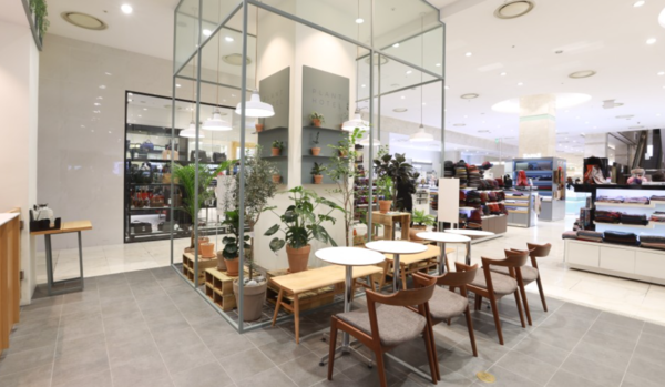 미아 롯데백화점 속 '플랜트 호텔 실라 파티오'에선 사람과 반려식물이 함께 휴식을 취할 수 있다.(사진출처: 롯데백화점 공식 블로그)