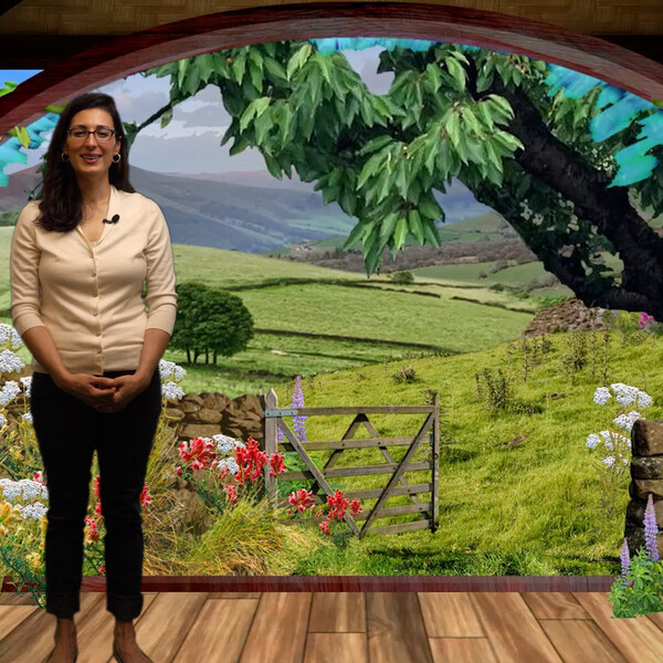 미국, 실리콘밸리: 정신건강 치료의 효과적 대안, 가상현실 (사진출처: behavr.com)