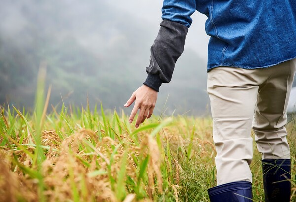 2022 트렌드 키워드, 러스틱 라이프 (사진출처: 이미지투데이)