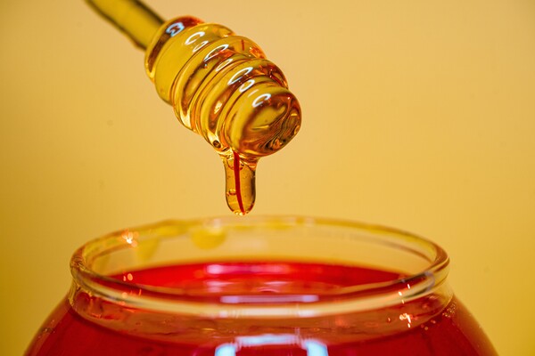 꿀 생산의 부족은 병해충의 증가로 이어진다. (사진출처: Unsplash)