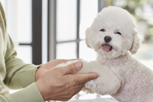 (사진출처: 이미지투데이)