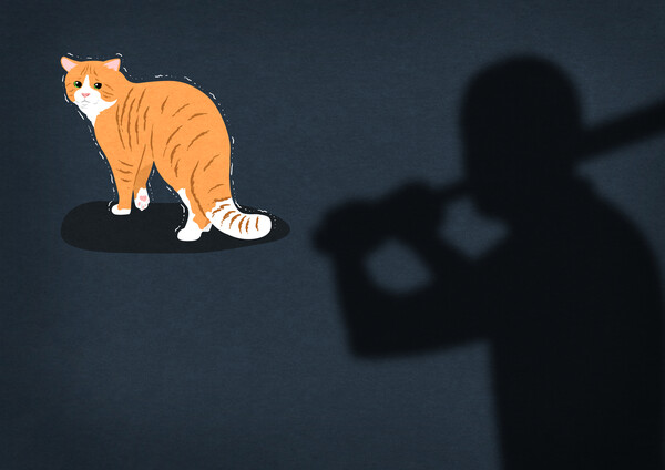 반려가구가 증가함에 따라 점점 증가하고 있는 동물학대 (사진출처: 이미지투데이)