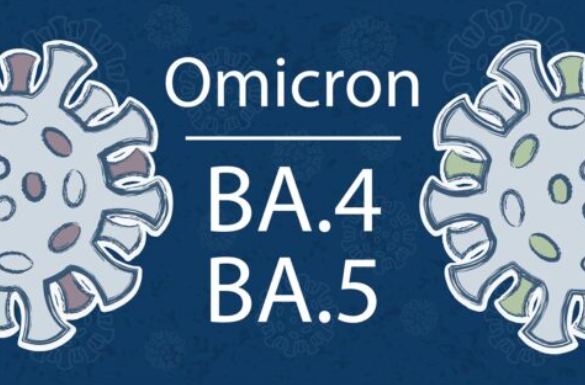 오미크론 변이 바이러스와 닮은 BA.4, BA.5 변이 바이러스 (출처: © shutterstock, gavi.org)