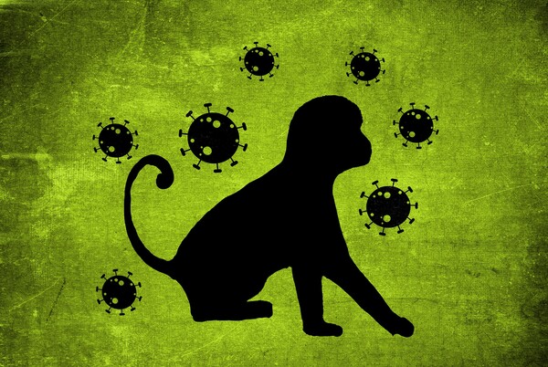 2022년 5월 이후 전 세계로 확산되기 시작한 원숭이 두창 (이미지 출처:픽사베이)