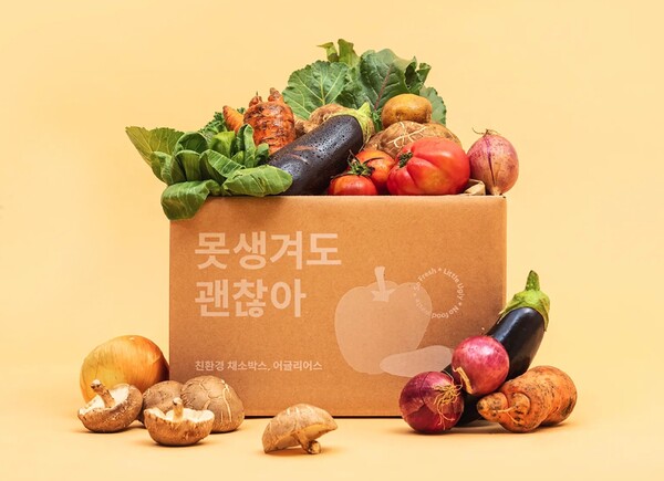 어글리어스( 출처 : 어글리어스 홈페이지 )