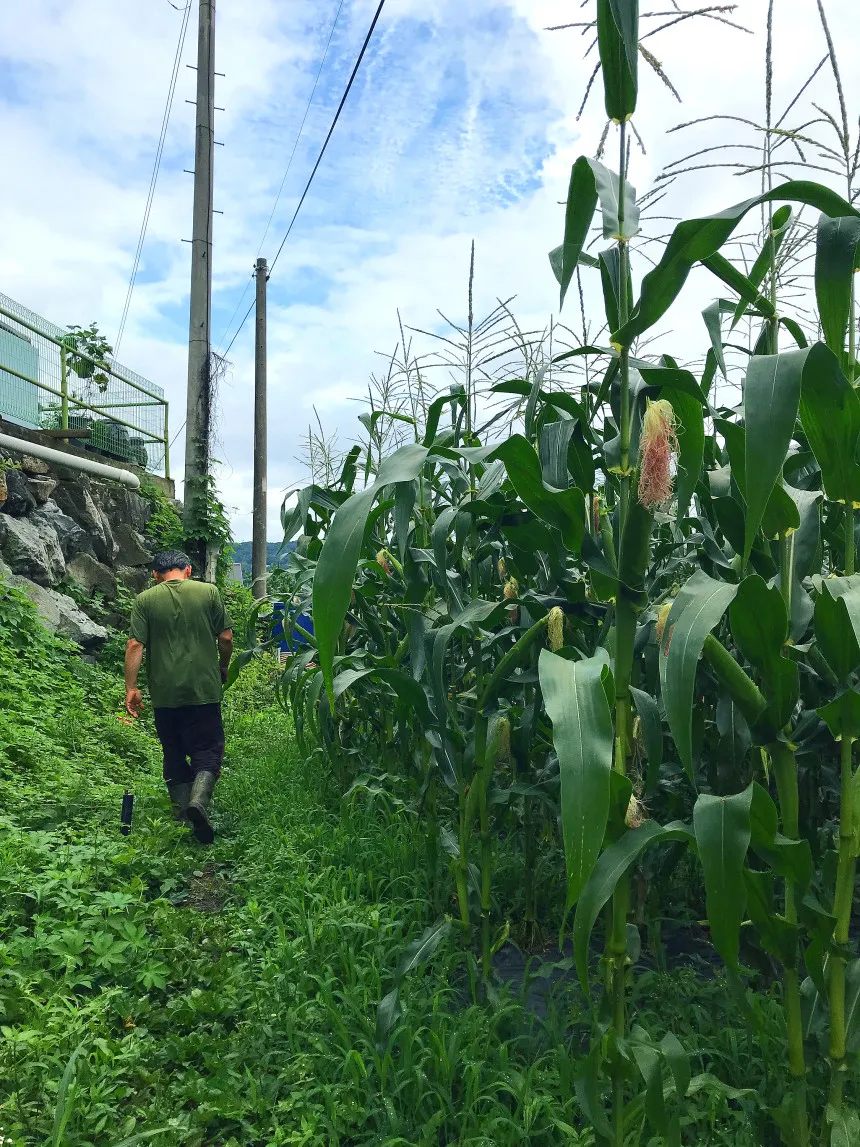 불필요한 낭비를 끊어 생산자와 환경, 소비자에게 이로운 연결고리를 만드는 어글리어스와 함께하는 농가( 출처 : 어글리어스 홈페이지 )