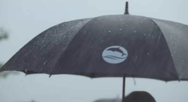 최근 화제 드라마 '이상한 변호사 우영우'에 나오는 남방큰돌고래에 관한 이야기 (사진출처: ENA ’이상한 변호사 우영우’ 방송화면 캡처)