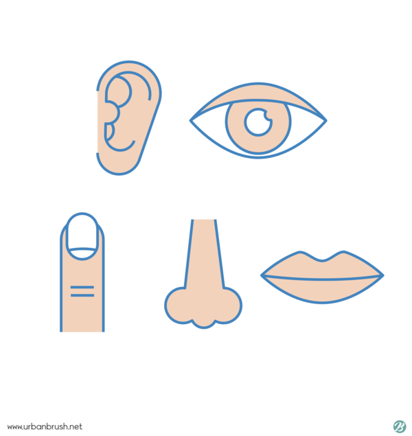 청각, 시각, 촉각, 후각, 미각을 활용한 오감 마케팅 (이미지 출처:어반브러시)