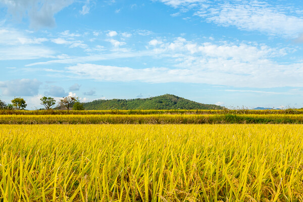 수도권에 사는 MZ세대 관광객 유치를 목적으로 해 (사진출처: 이미지투데이)