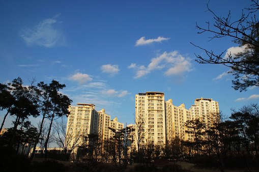 정부는 금리 인상에 따른 과도한 물가 인상, 부동산 시장 침체 등의 문제를 직시하고 이를 해결하기 위한 대책을 마련해야 할 부담을 안고 있다. (출처: 픽사베이)