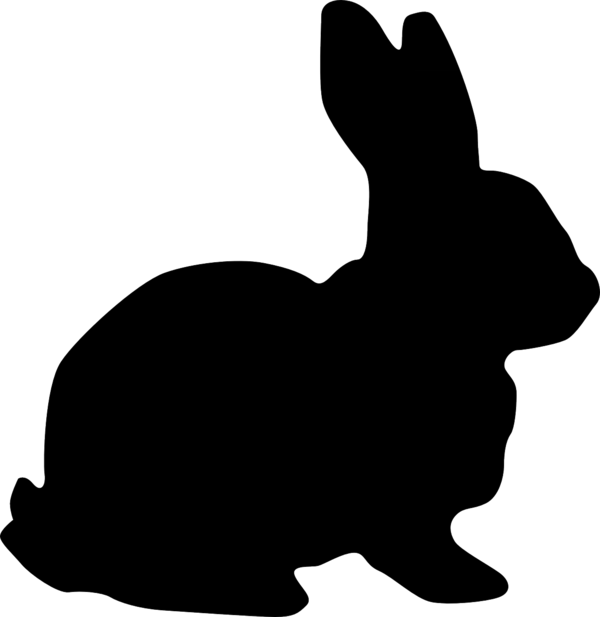 2023 계묘년의 계(癸)는 흑색이라는 의미로 '검은 토끼의 해'다. (이미지 출처:픽사베이)