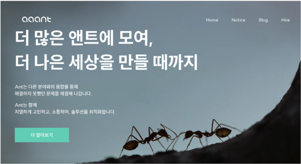                                                                 (주) 앤트 홈페이지
