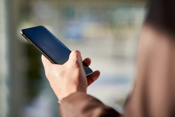                                                           출처: 이미지투데이