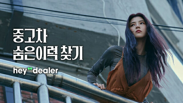 [출처:헤이딜러]