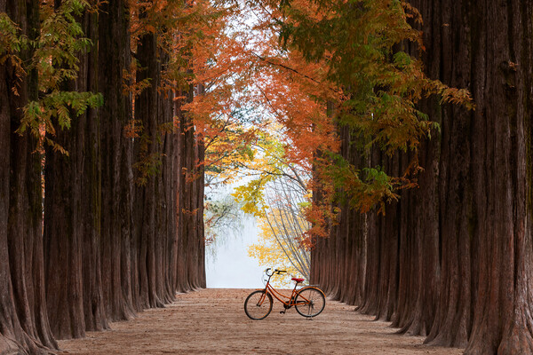 [출처:이미지투데이]