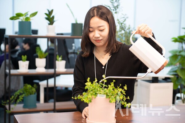 여러 조직 문화 중 본진 요정 제도 '풀의 요정' 모습 [제공:팀스파르타]