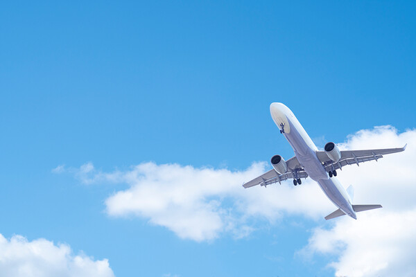 출처: 이미지투데이