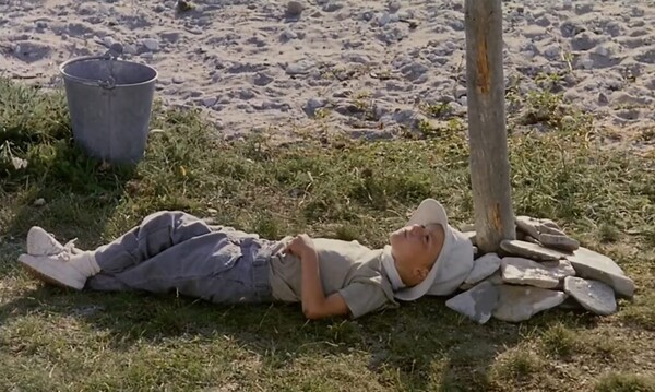 마지막에 아이가 나무를 올려다보는 이 숏은 타르코프스키 세계관 전체를 대변한다고 봐도 된다. 출처: 엣나인필름