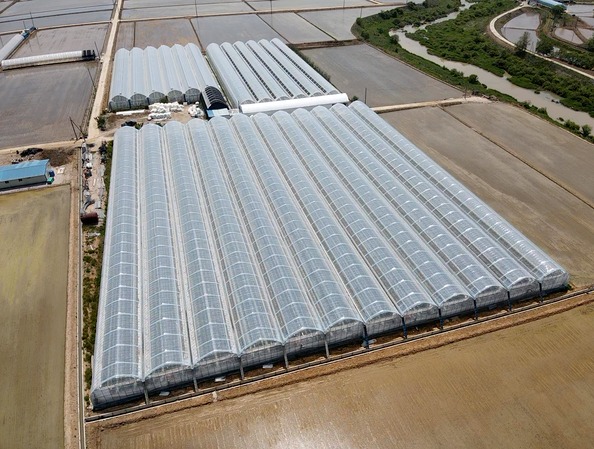 철원 스마트팜 조감도 [제공 : 씨엔티테크]