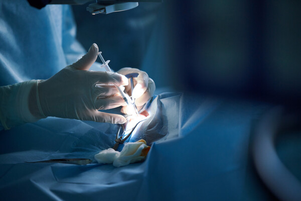 (이미지 출처: 이미지 투데이)