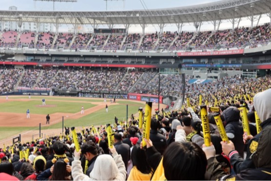 2025 KBO리그 프로야구 삼성 라이온즈 VS KIA 타이거즈 시범경기[출처:한국경제신문]