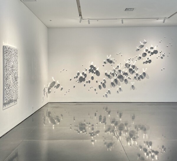 [출처: 비트리갤러리]