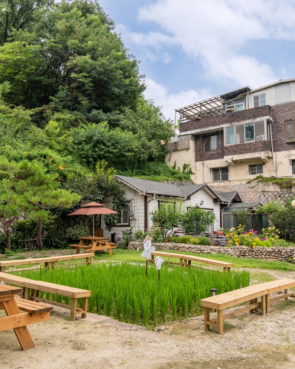 흥만소 야외 논[출처:흥만소]