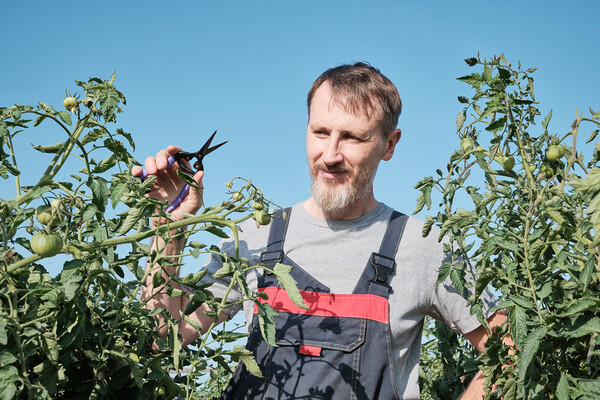이모작 준비에 나선 직장인들은 자격증을 가장 많이 준비하고 있다.[출처:이미지투데이]