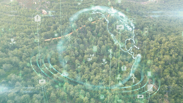 도시들의 AI 성숙도를 기준으로 ‘AI 리더’, ‘AI 선도자’, ‘AI 채택자’로 분류했다.[출처: 이미지투데이]