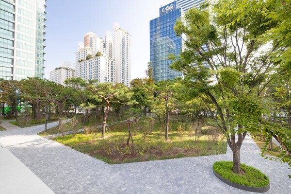 대한항공이 1차 그린 스카이패스로 도심 숲 조성에 참여한 서울 양천구 오목공원 전경[출처: 대한항공]