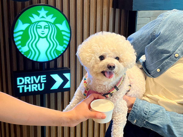 반려동물과 소중한 추억을 쌓는 ‘2025 놀다가시개!’ 캠페인 [제공: 스타벅스]